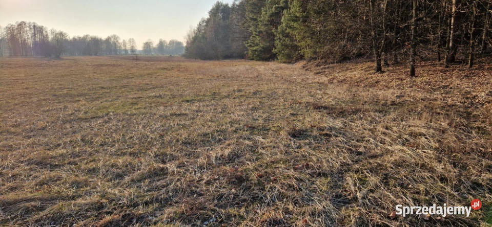 Sprzedam działkę budowlaną Stara Wieś gm Rząśnik mazowieckie sprzedam