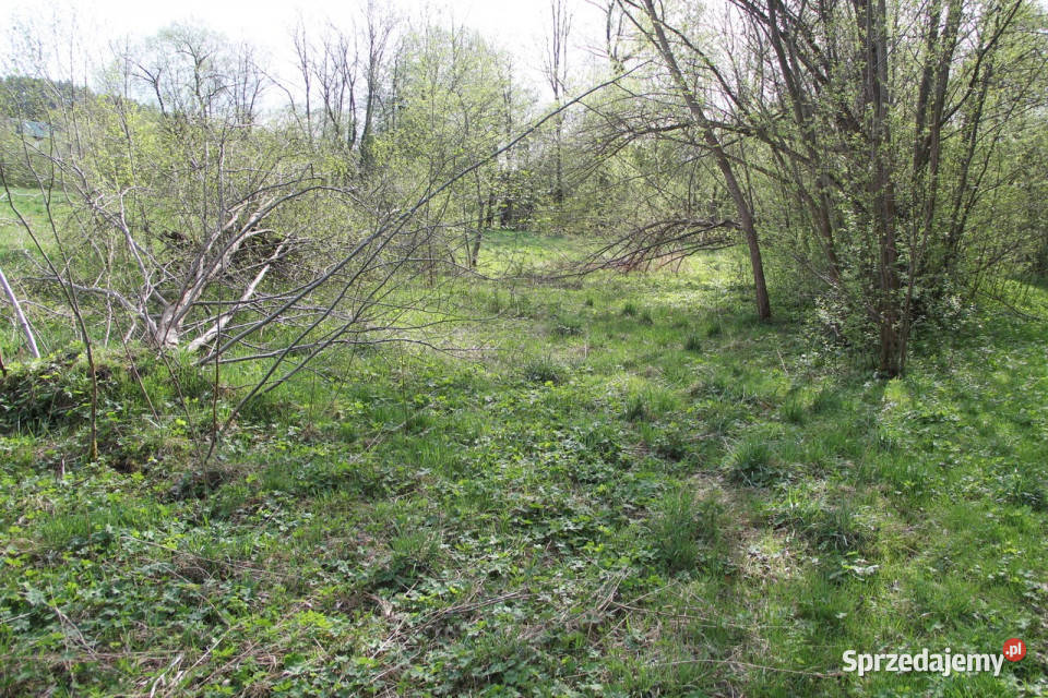 Kompleks działek w miejscowości Skomielna Biała 16059m2