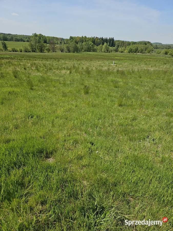 Sprzedam działkę budowlaną Rębiszów