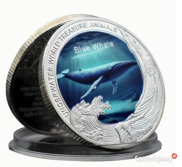 Kolekcjonerskie zestawy zwierząt z różnych stron Warszawa