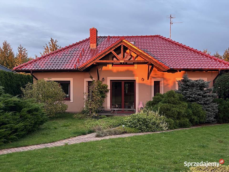 Sprzedam dom pod lasem w miejscowości Chludowo 1000m2 Sprzedaż