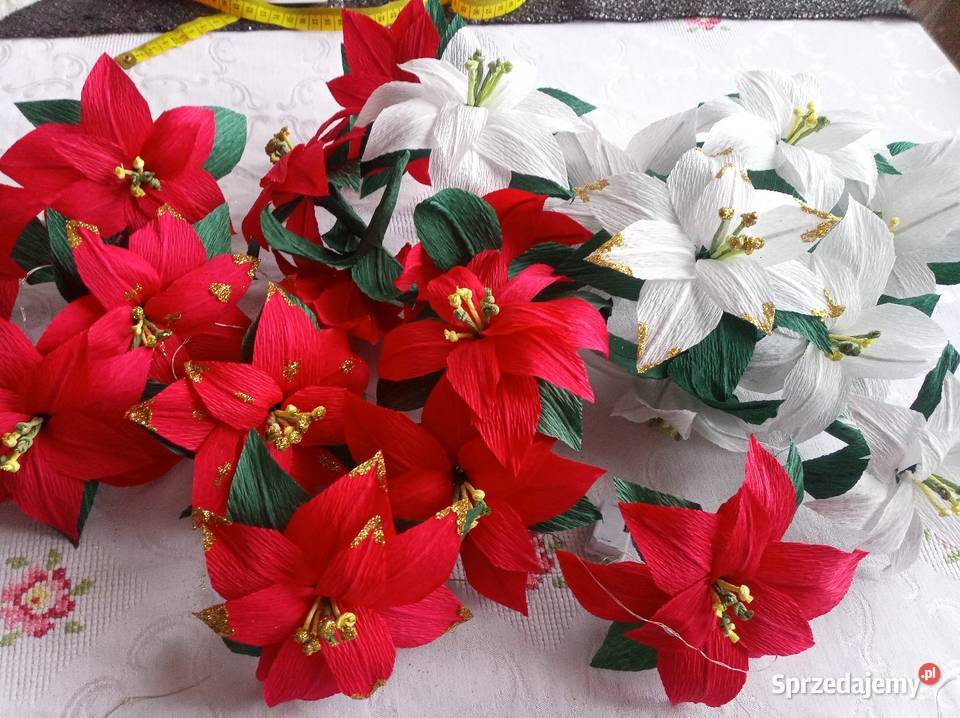 Małe gwiazdy betlejemskie