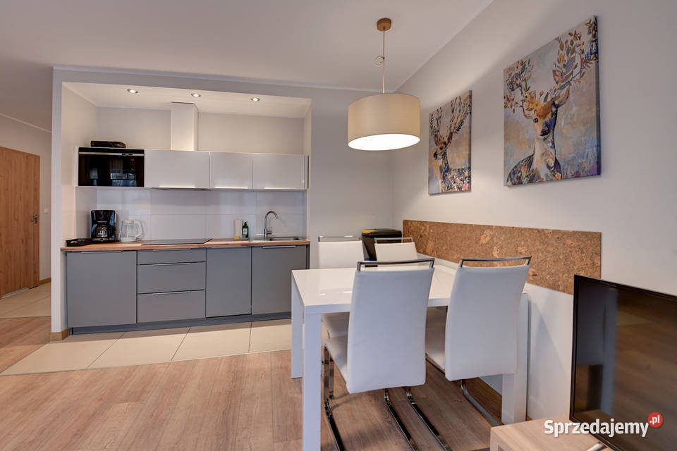 Sprzedam Apartament 2 pokojowy w Szklarskiej Sprzedaż dolnośląskie Szklarska Poręba sprzedam