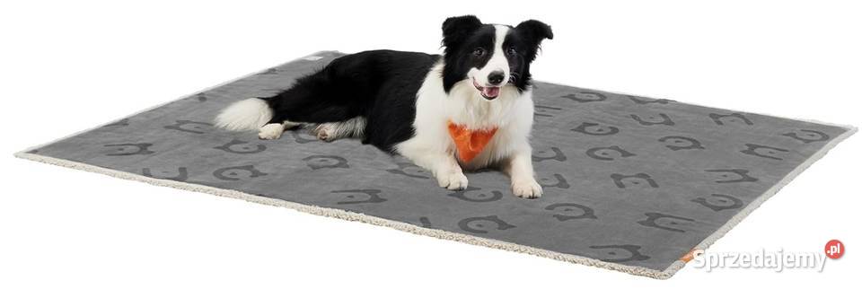 Wodoodporny koc psa dwustronny polarowy 152 x Akcesoria dla zwierząt Poznań sprzedam