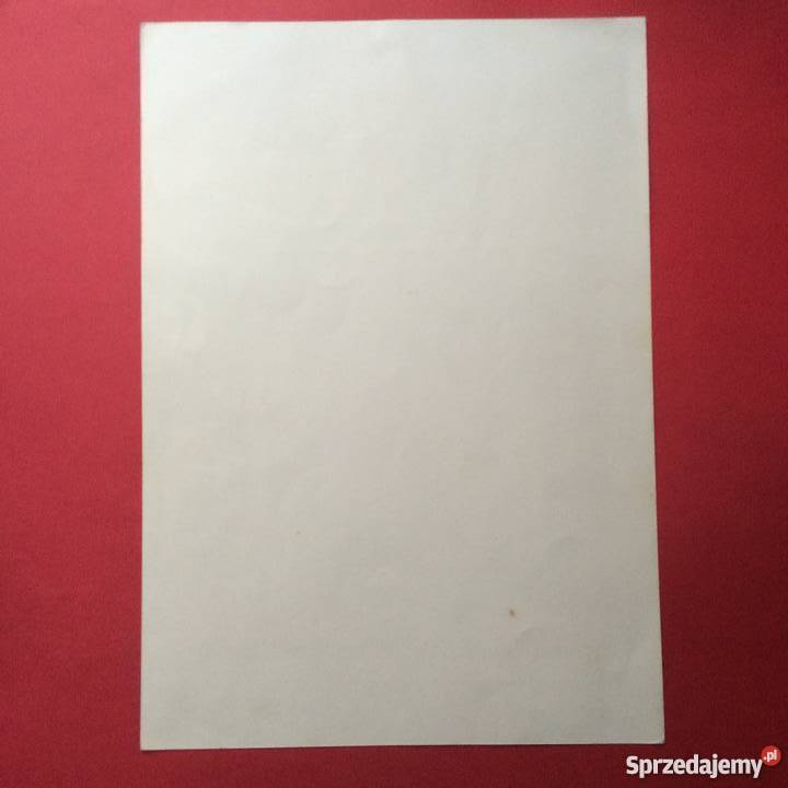 Telegram 20 Szczecin