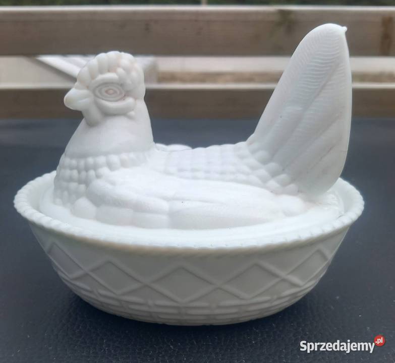 Kura stara Kolonowskie sprzedam