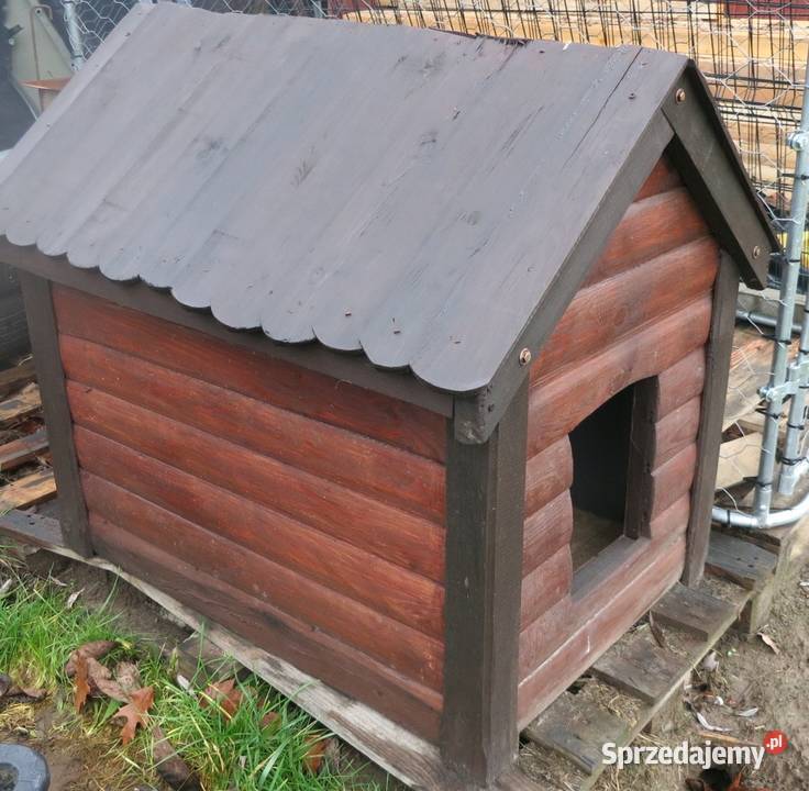 buda psa nowa Niemce sprzedam