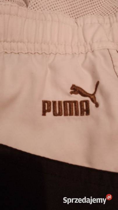 Szorty męskie marki Puma Puma śląskie Częstochowa