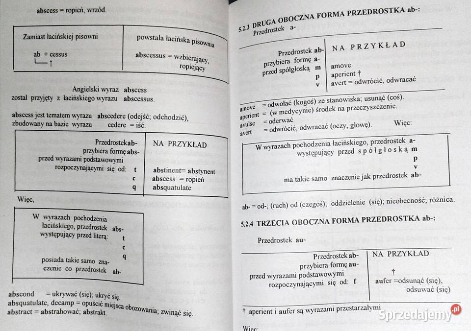 Uzasadnienie pisowni angielskiej Mario Li Ulfe Chełm