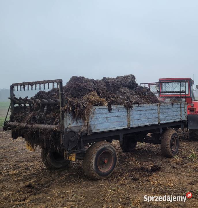 Rozrzutnik dwuosiowy nieuszkodzony Pokój sprzedam