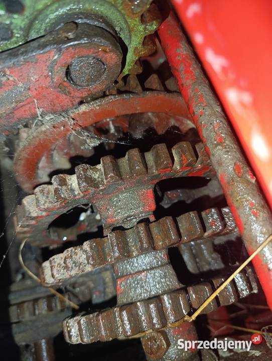 Siewnik Poznaniak lubelskie Dęblin