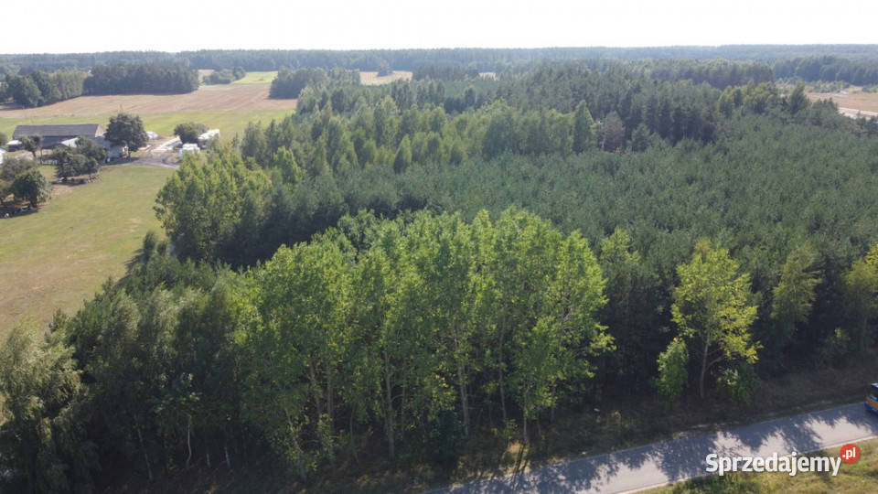 Dom na dużej działce w Świesielicach gm Świesielice