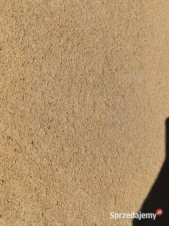 Producent sprzeda srute sojowa 46 luzem Rośliny przemysłowe Wola Baranowska