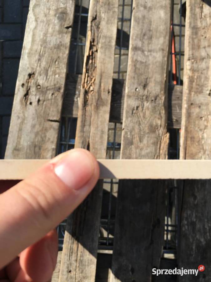 Gres płytka podłogowa beton grey 598x598 Płytki podłogowe Reguły sprzedam