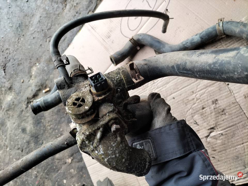 WĄŻ CHŁODNICY OBUDOWA TERMOSTA GOLF 3 IBIZA Układ chłodzenia Kamień-Kolonia