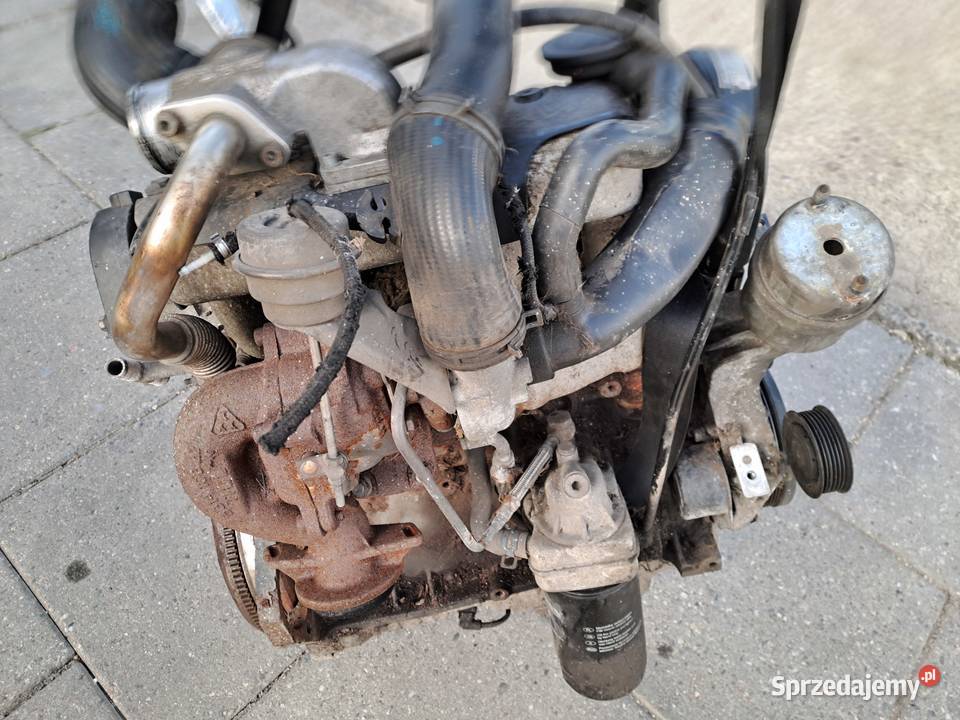 Volkswagen Transporter T4 25 TDi silnik Rok produkcji 2002 Jastrzębie-Zdrój