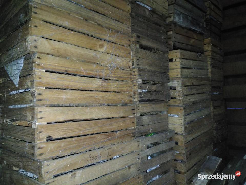 Skrzynki drewniane do owoców warzyw