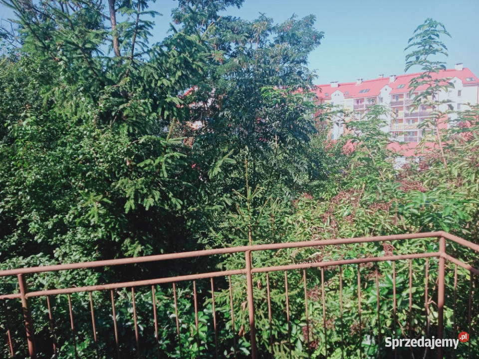 Sprzedam dziewięcio pokojowy dom z balkonem warmińsko-mazurskie