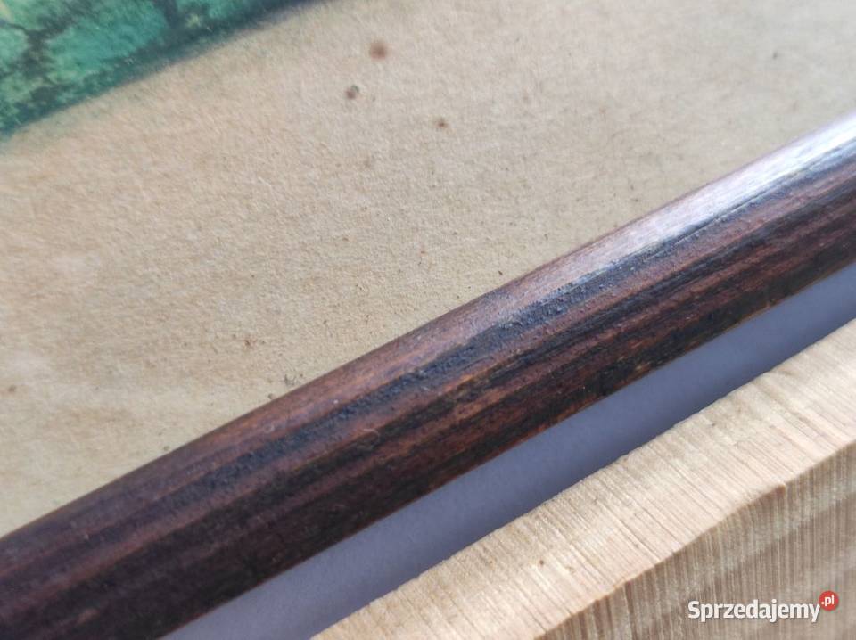 rysunek grafika obraz akwarela ramka ptaszki Kielce sprzedam