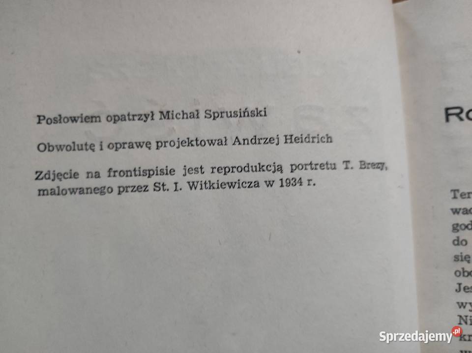 Zawiść Breza Tadeusz twarda z obwolutą Kielce