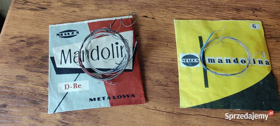 Struny do mandoliny muza historyczna ciekawostka Warszawa