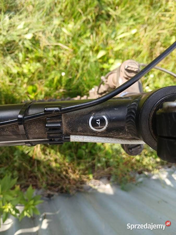 rower mtb Wheeler Buddy 03 Sport i Wypoczynek