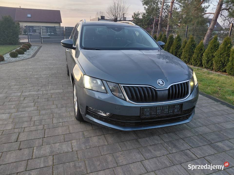 Skoda Octavia 16TDI Kamera DSGNavi Lift Led
