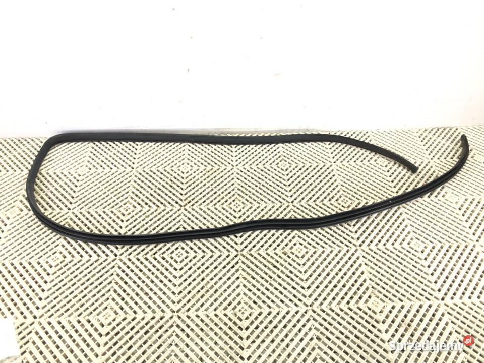 USZCZELKA DRZWI PRZÓD PRAWA HONDA ODYSSEY Van