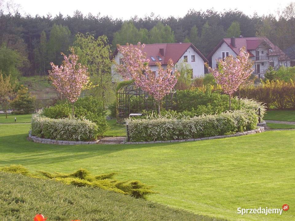 PROJEKTOWANIE I ZAKŁADANIE OGRODÓW GREEN POINT Kielce