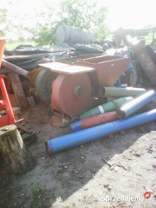 dmuchawy polskie Dąbie