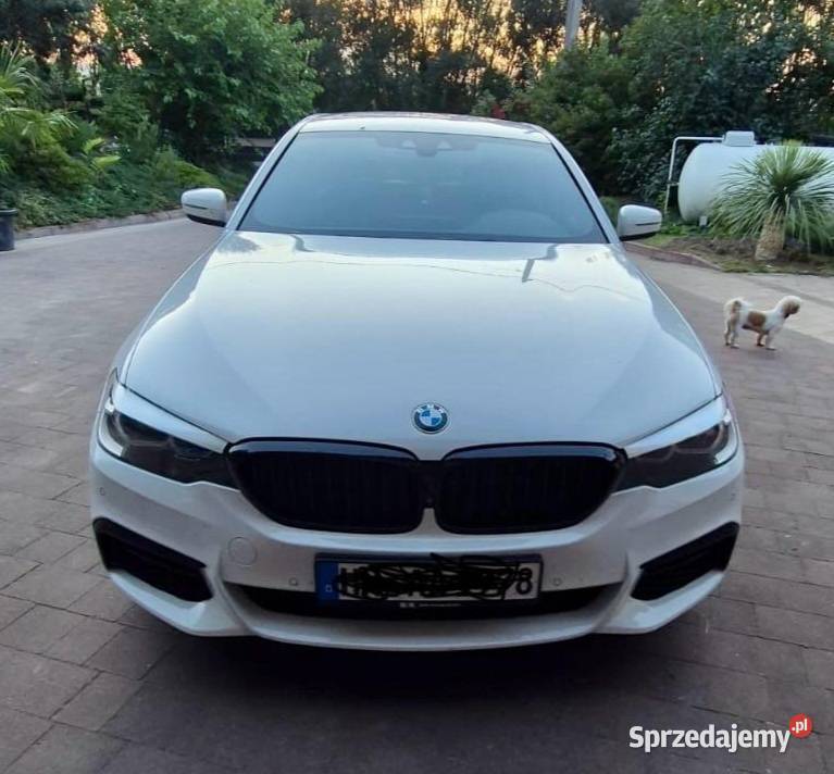 BMW 5 G30 20d autoalarm pomorskie Kwidzyn