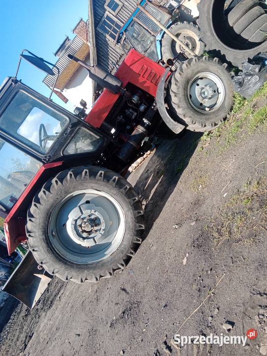 Belarus 820 Starogard Gdański sprzedam