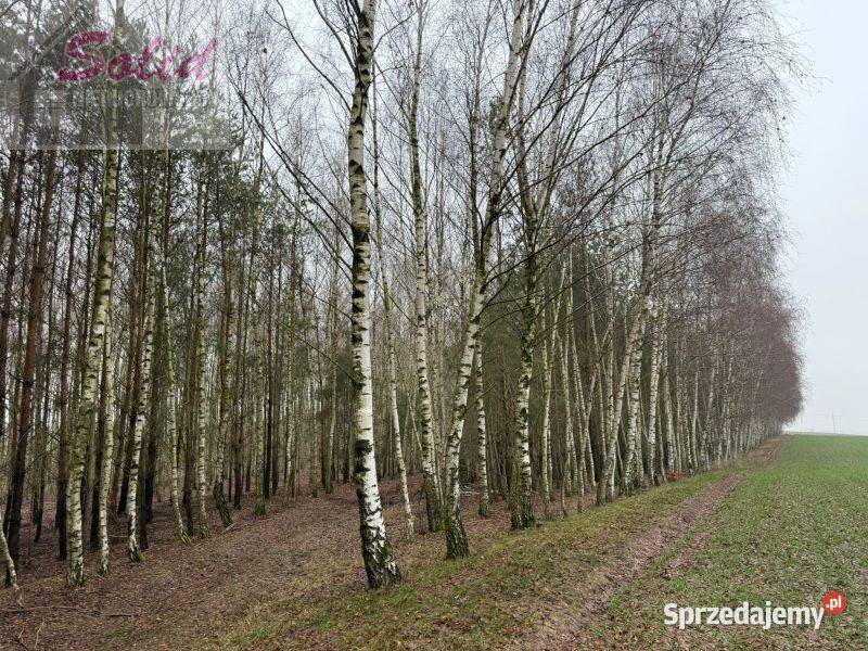 działka z warunkami zabudowy w spokojnej Sprzedaż