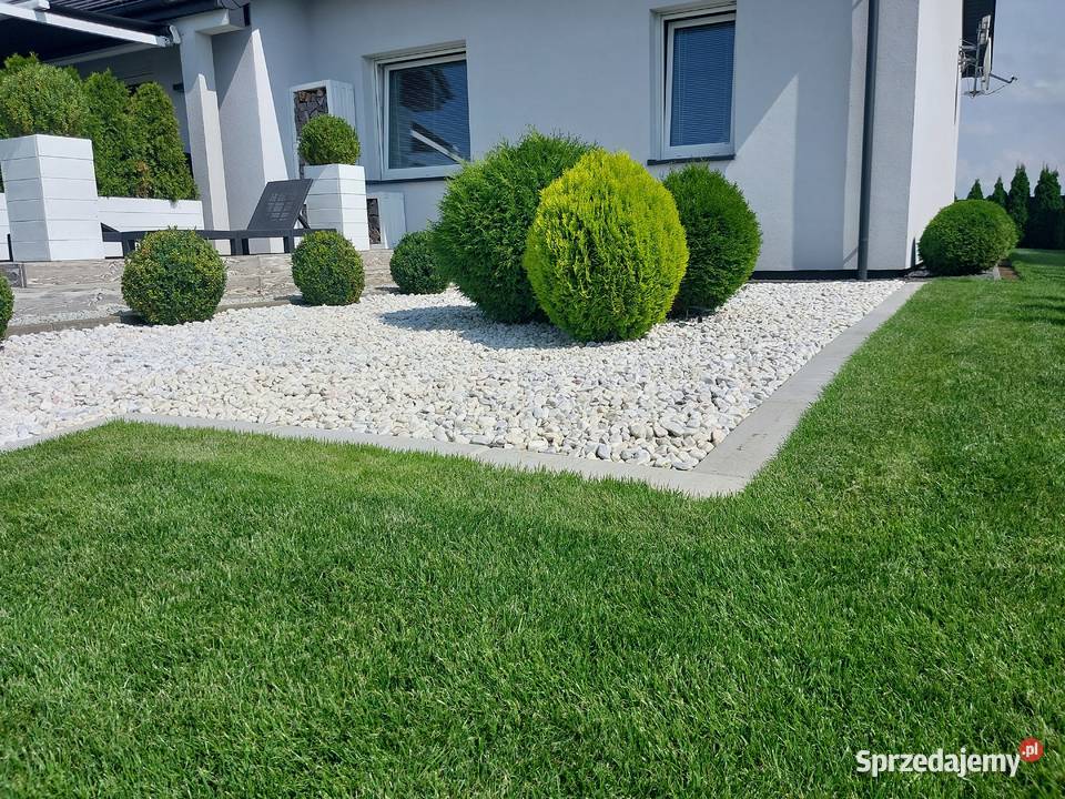 Obrzeże trawnikowe z betonu nowoczesne obrzeża Górno