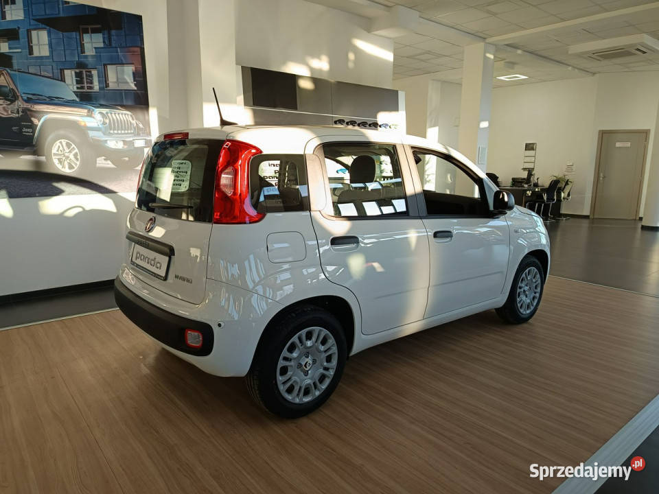 Fiat Panda Pandina Icon 10 hybrid 70 III 2011 Nowy Sącz