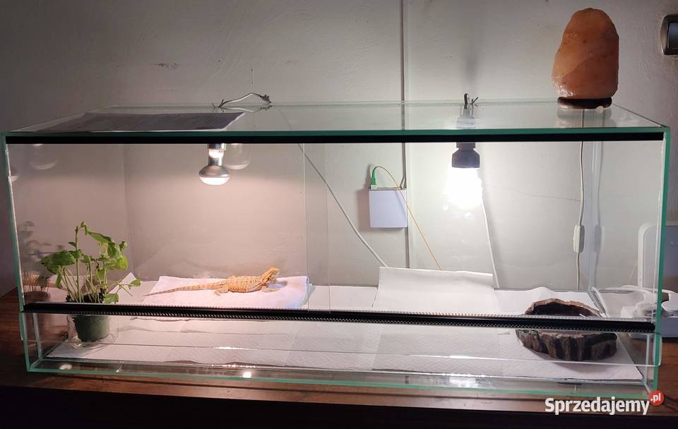 Terarium z oświetleniem matą grzewczą i śląskie Zabrze sprzedam
