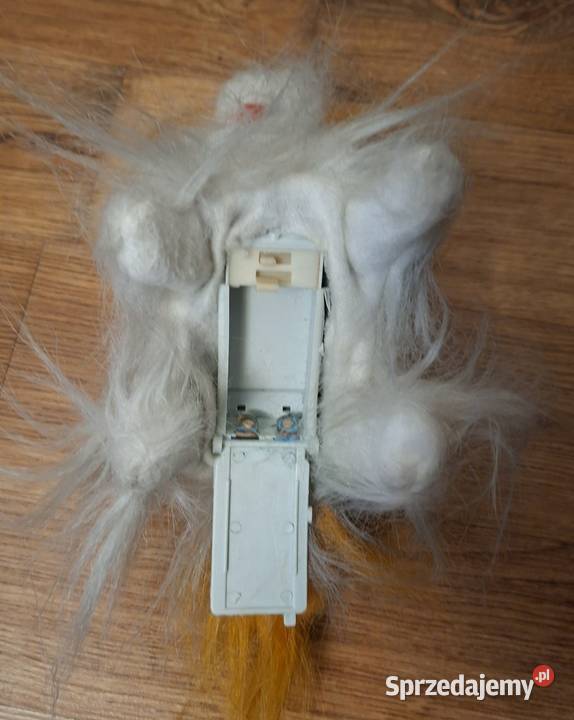 Maskotka tańczący pies Zielona Góra