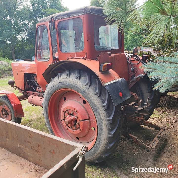Traktor ciągnik rolniczy mtz Belarus MTZ 50 Krosno Odrzańskie