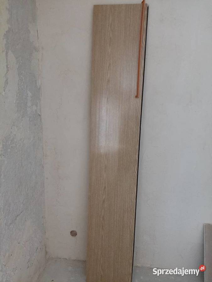 Parapet wewnętrzny dąb Mirosławiec