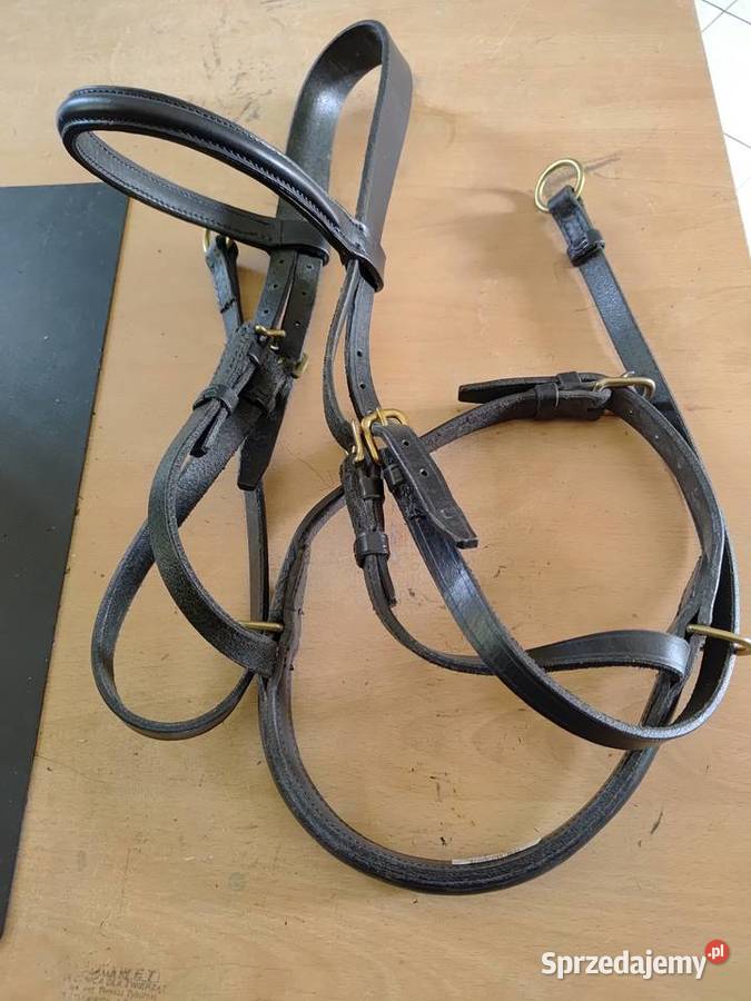 OGŁOWIE BEZWĘDZIDŁOWE CZARNE L mazowieckie