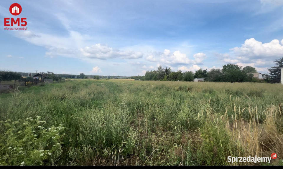 sprzedaży działki 857m2 Knyszyn sprzedam
