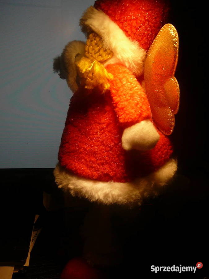 Aniołek Nowy 35 Belgia Wrocław