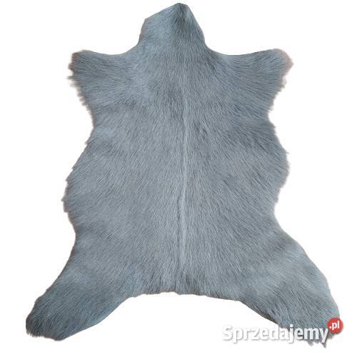Skóra z Kozy Szara Skóry Kozie Naturalne Szare małopolskie Szaflary