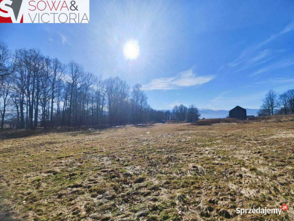 Działka budowlana z widokiem na Karkonosze Wojcieszyce sprzedam