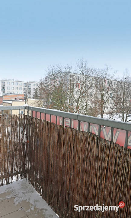 Mieszkanie z balkonem na wynajem Pogoń 37m Sosnowiec