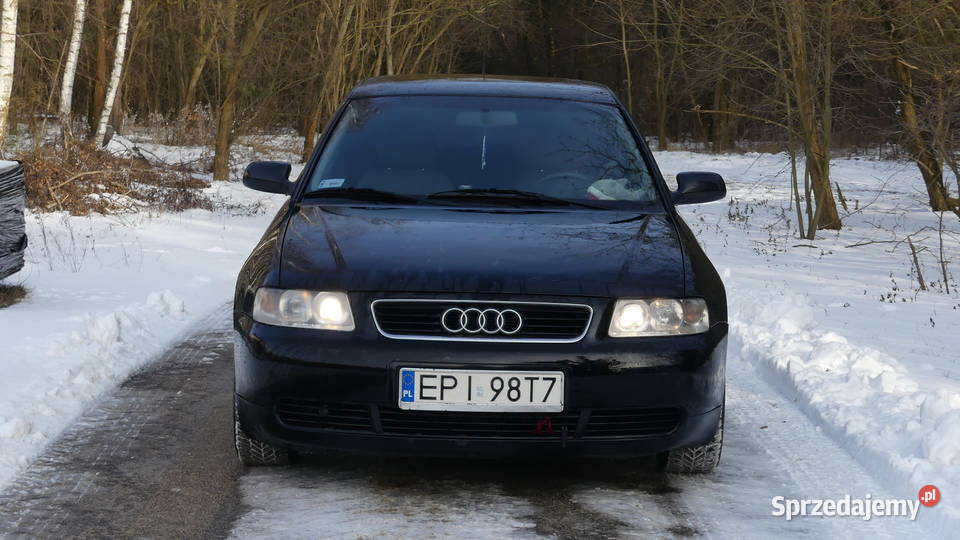 Audi A3 2001 19 TDI Stan techniczny 90KM łódzkie Drzewica