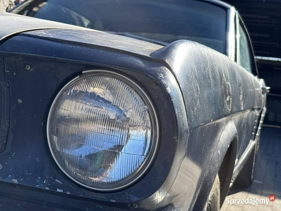 Ford Mustang Ford Mustang Coup 1965 110 Do Mustang Sulechów