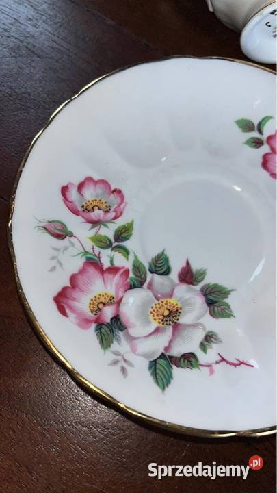 Filiżanka Royal Windsor England Alberta Wild Gdańsk