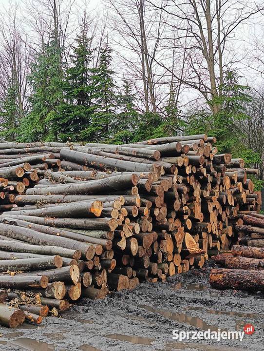 Drewno w wałkach S2A 250 Buk Dąb Brzoza