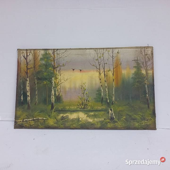 Obraz pejzaż na płótnie Zabrze sprzedam